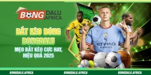 Bắt kèo Bóng Bongdalu - Mẹo bắt kèo cực hay, hiệu quả 2025