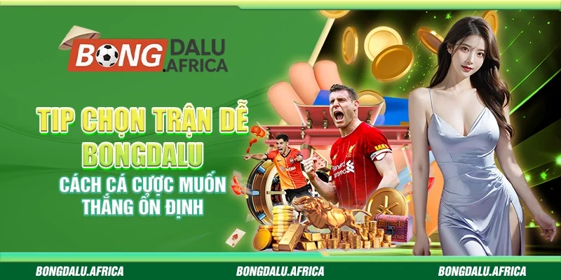 Tip Chọn Trận Dễ Bongdalu – Cách Cá Cược Muốn Thắng Ổn Định